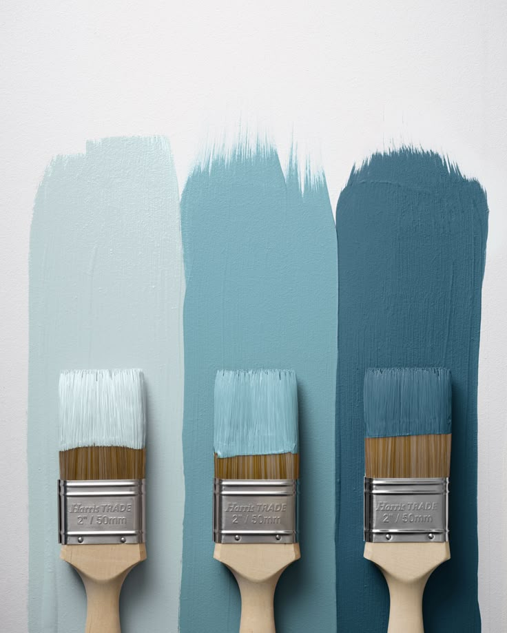 Trusted Paint Store in Hasilpur for Quality Paint Solutions​